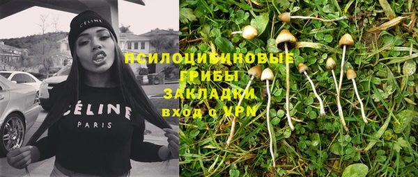 spice Алексин
