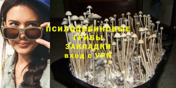 spice Алексин