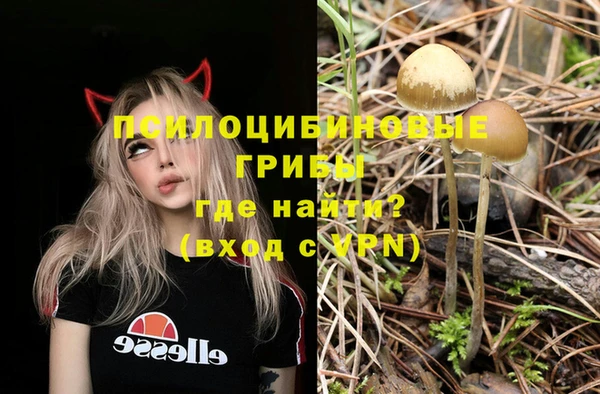 spice Алексин