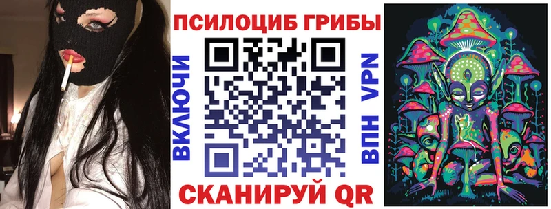 купить наркотик KRAKEN ТОР Галлюциногенные грибы ЛСД Гаджиево